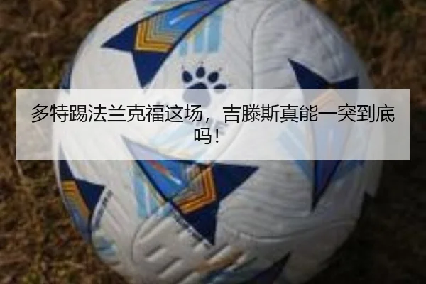 duo-te-ti-fa-lan-ke-fu-zhe-chang-ji-teng-si-zhen-neng-yi-tu-dao-di-ma-2-713.jpg