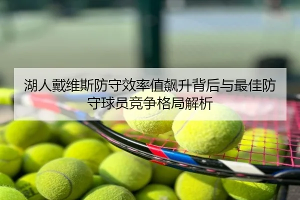 湖人戴维斯防守效率值飙升背后与最佳防守球员竞争格局解析