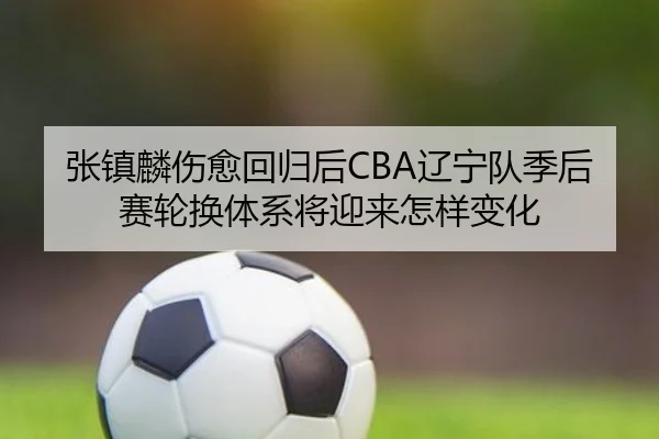 张镇麟伤愈回归后CBA辽宁队季后赛轮换体系将迎来怎样变化